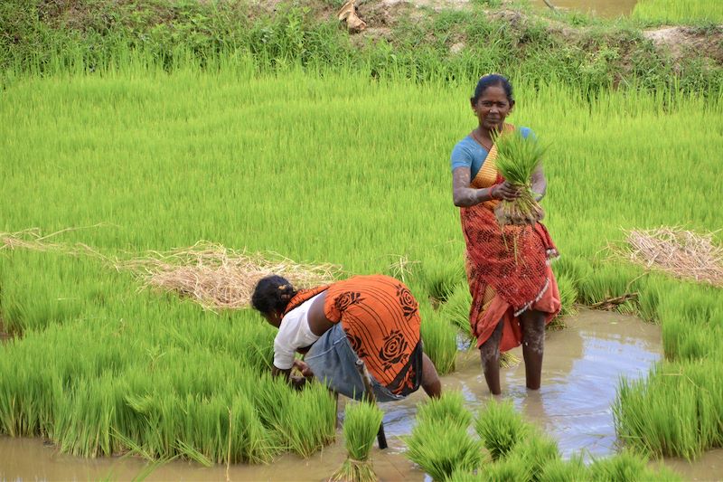 Route entre Thekkady et Madurai - Inde