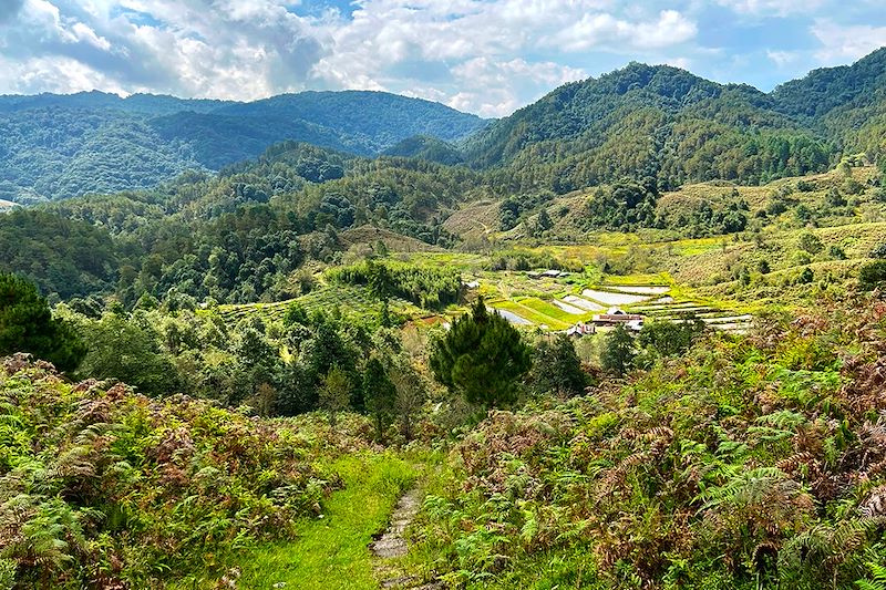 Vallée Ziro - Arunachal Pradesh - Inde