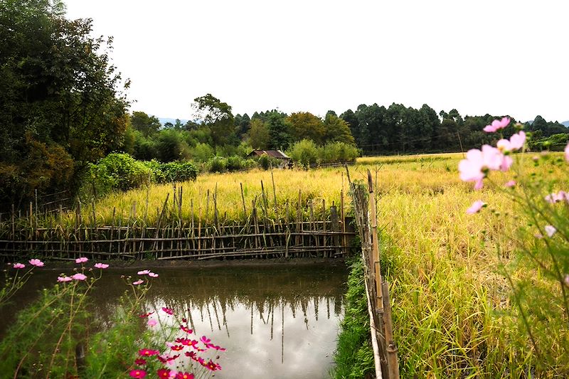 Vallée Ziro - Arunachal Pradesh - Inde