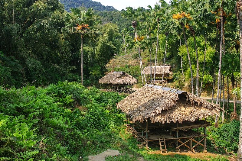 Village Adi - Arunachal Pradesh - Inde