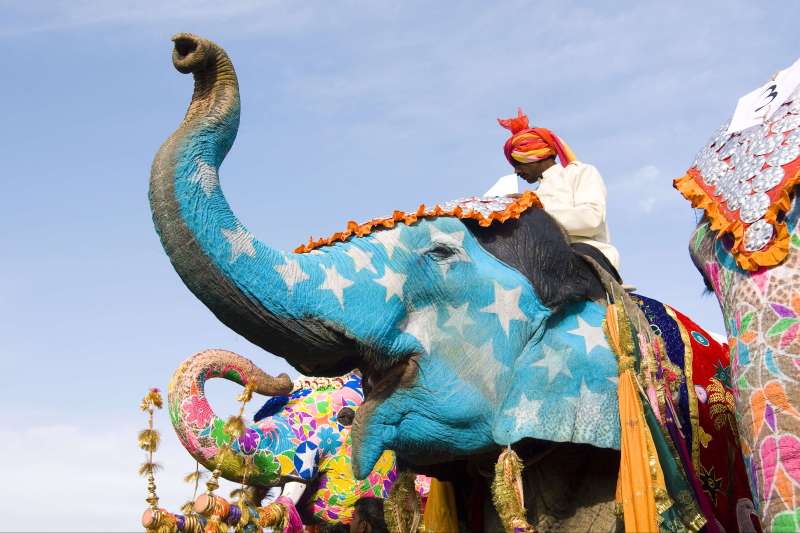 Voyage en famille au Rajasthan : palais, temples, éléphants & Taj Mahal