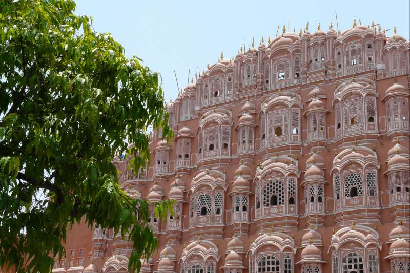 Désert et palais du Rajasthan + Bénarès