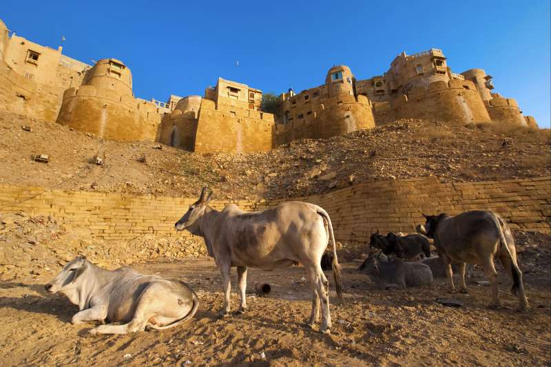 Fort de Jaisalmer - Rajasthan - Inde