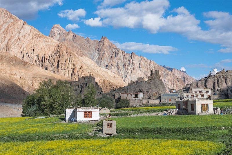 Trek de la Markha et Vallée de l'Indus