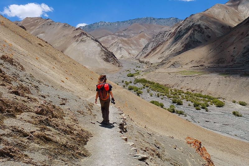 Trek de la Markha et Vallée de l'Indus