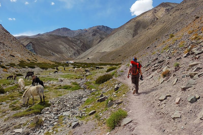 Trek de la Markha et Vallée de l'Indus