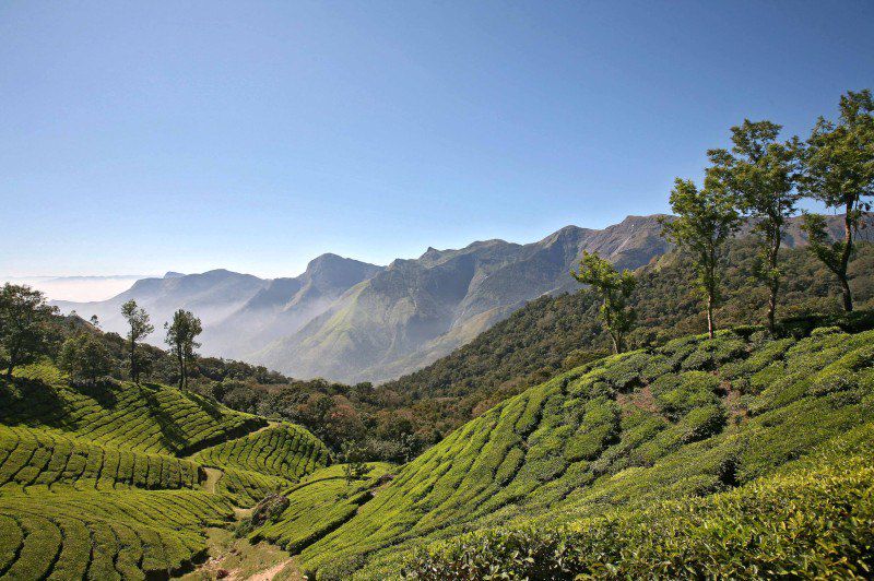 Rando des épices au Kerala