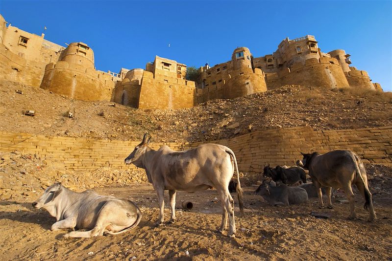 Fort de Jaisalmer - Rajasthan - Inde