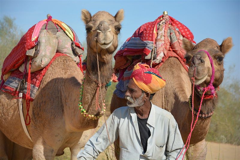 Désert de Thar - Rajasthan - Inde