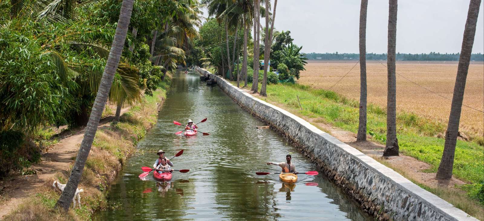Voyage sur l'eau Inde : Le Kerala au fil de l\'eau Voyage sur l'eau Inde : Le Kerala au fil de l\'eau