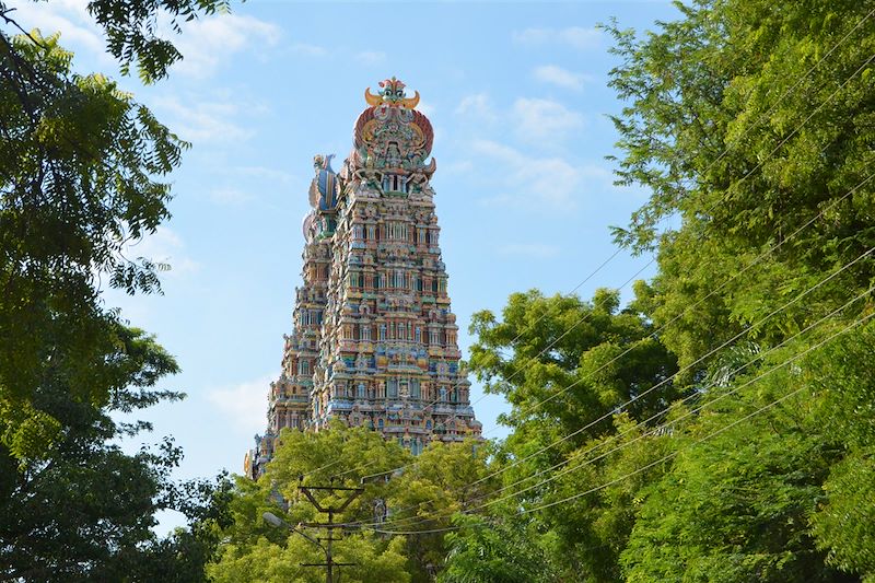 Temple Sri Meenakshi - Madurai - Tamil Nadu - Inde
