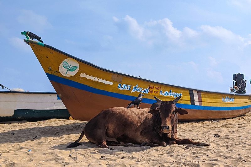 Plage de Mahabalipuram - Tamil Nadu - Inde