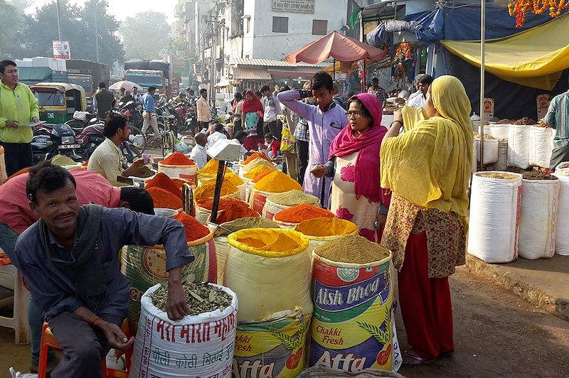 Marché au bord de la route - Delhi - Rajasthan - Inde