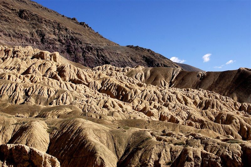 Du Ladakh au temple d'Or