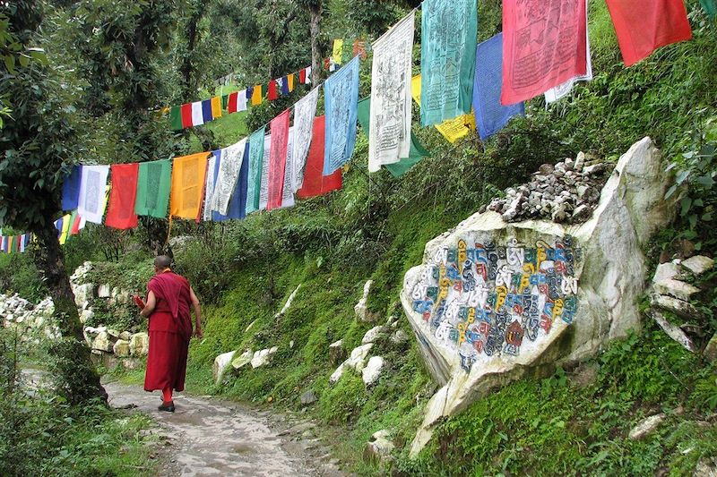 Dharamsala - État de l'Himachal Pradesh - Inde