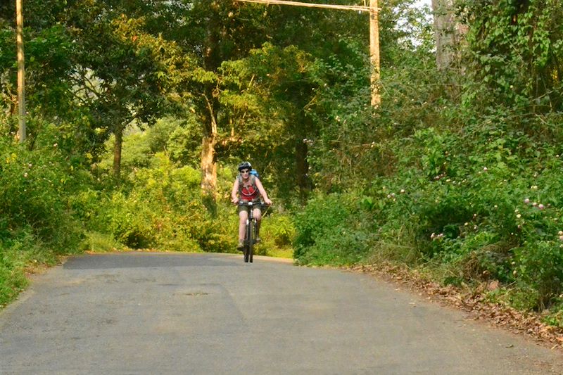 Région du Kerala - Inde du Sud