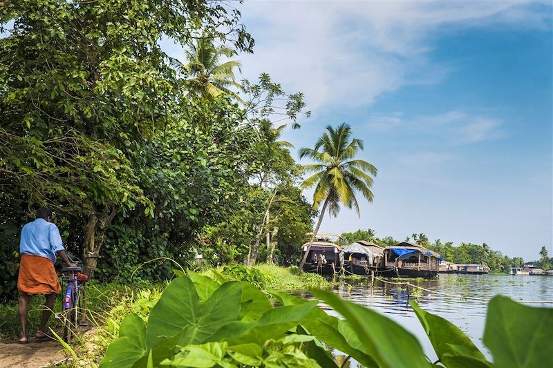 Bateaux maisons sur les backwaters - Cochin - Kerala - Inde du Sud