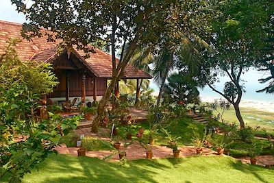 Sous les cocotiers du Kerala 3