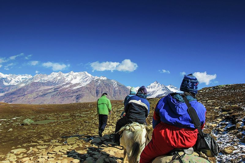 Randonnée à cheval - Manali - Inde