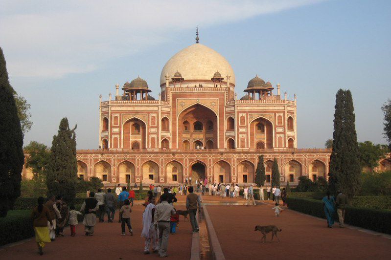 Tigres et temples : l'Inde sauvage !