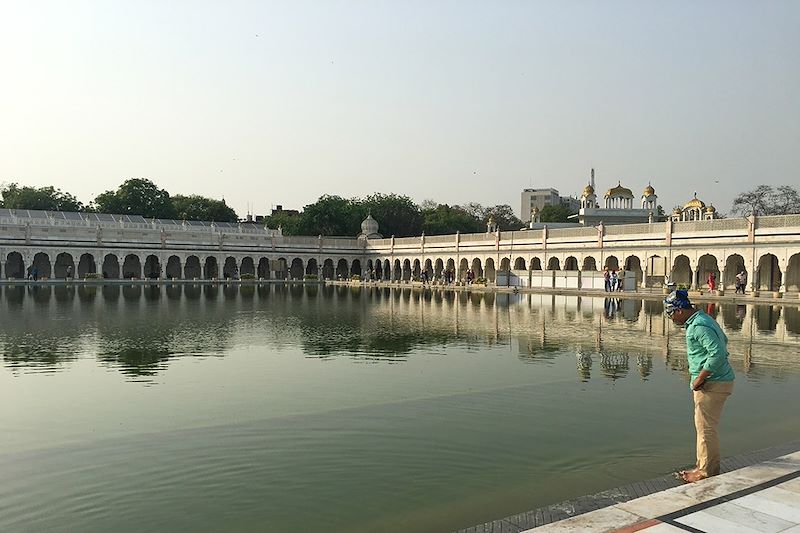 Tigres et temples : l'Inde sauvage !