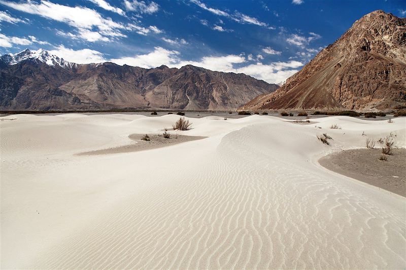 Vallée de la Nubra - Inde