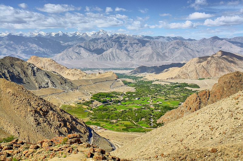 Vallée de la Nubra - Ladakh - Inde