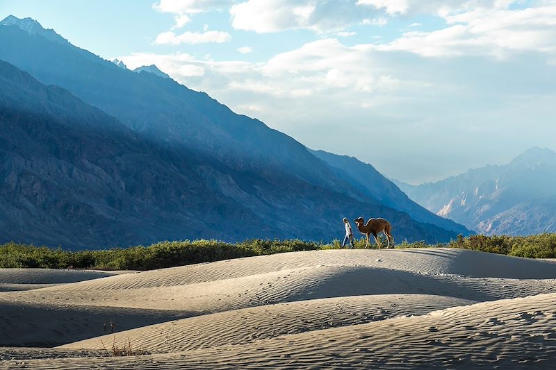 Vallée de la Nubra - Ladakh - Inde