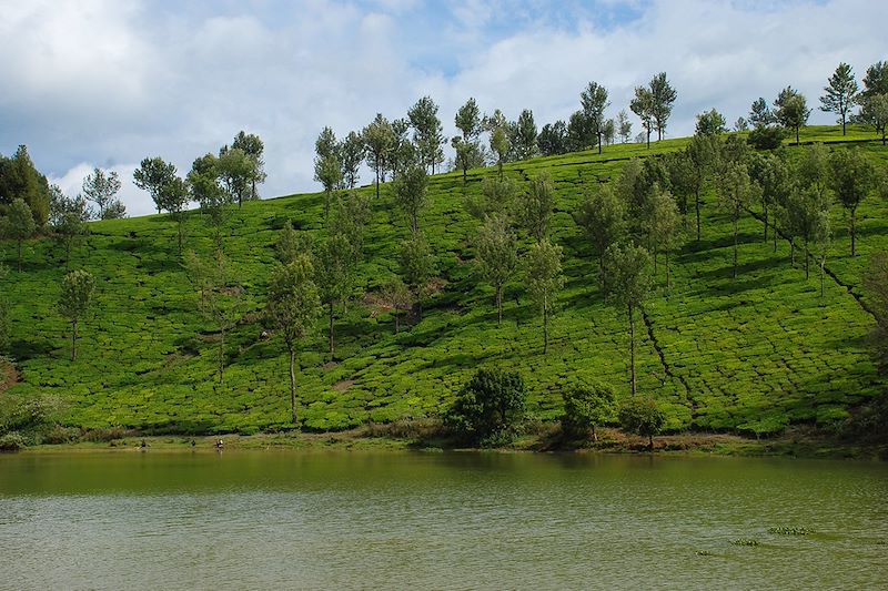 Ma famille au Kerala