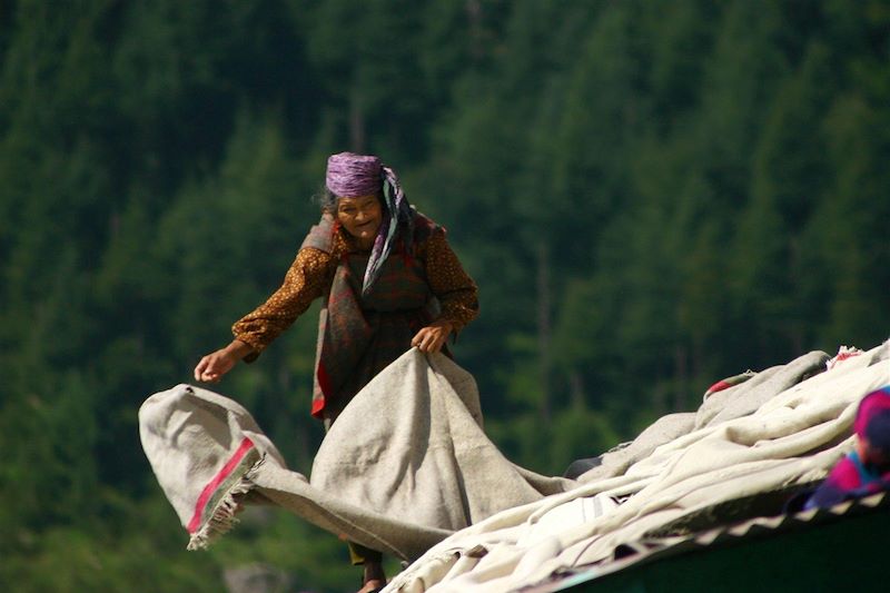 Femme du village de Manali - Kullu - Himachal Pradesh - Inde