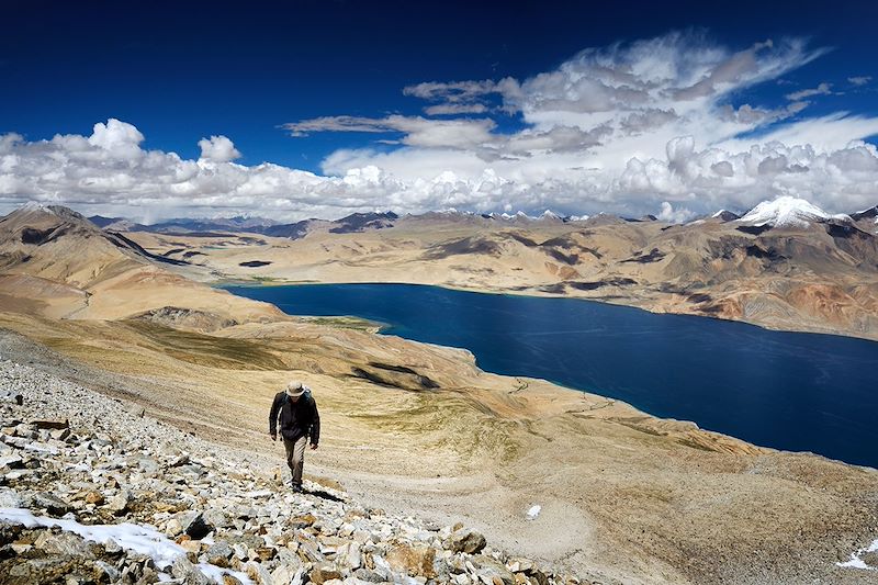 Randonneur sur le plateau du Changthang - Ladakh - Himalaya - Inde