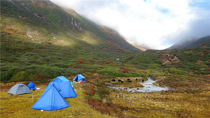 Bivouac à Pangding - Sikkim - Inde