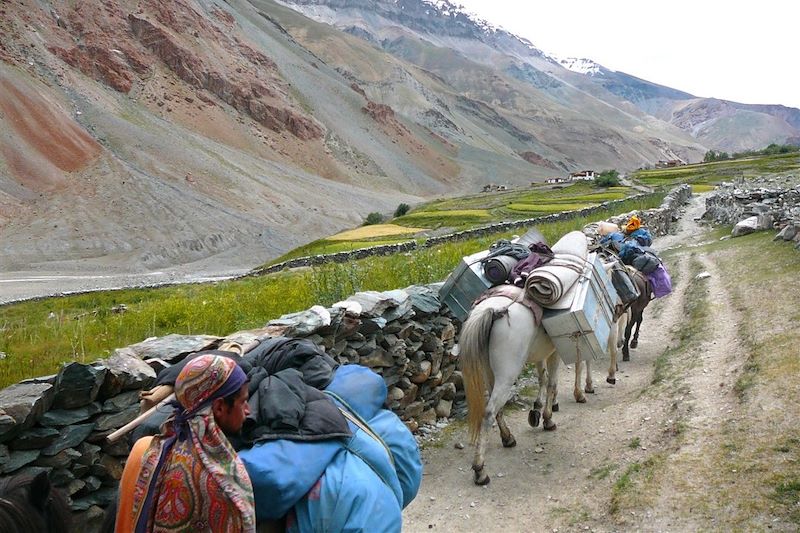 Aux alentours de Testa - Zanskar - Inde