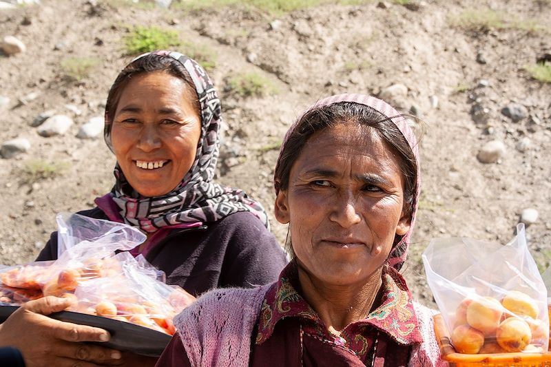 Vendeuses d'abricot - Zanskar - Ladakh Inde