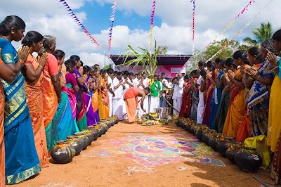 voyage Festival de Pongal et de Gajamela 