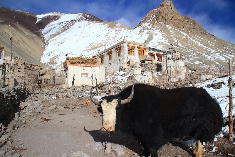 Mon premier 6000 au Ladakh