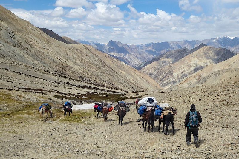 Ganda La - Trek de la Markha - Ladakh - Inde