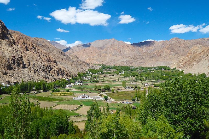 Rumbak - Trek de la Markha - Ladakh - Inde