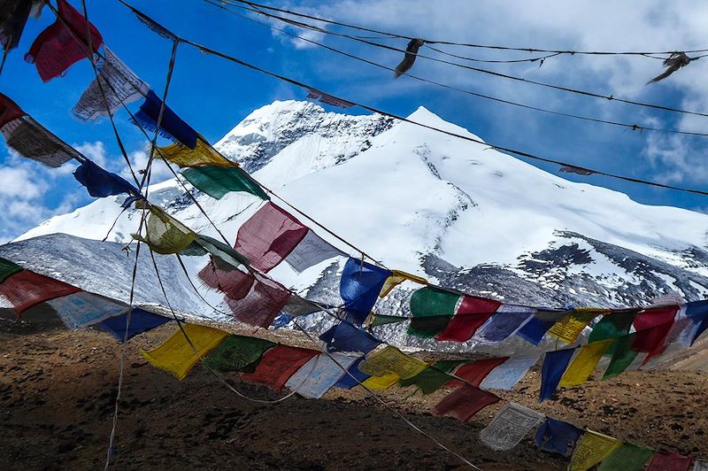 Tchatchuse - Trek de la Markha - Ladakh - Inde