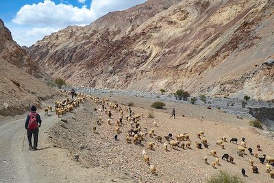 Objectif 6000 au Ladakh 4