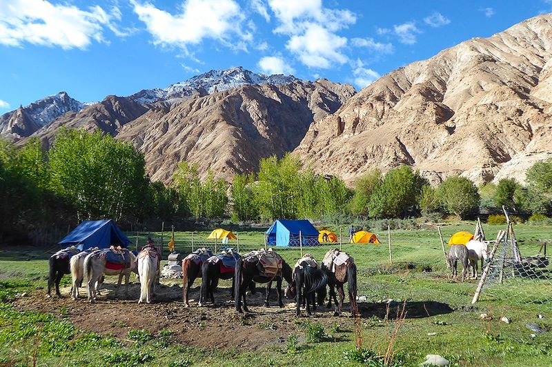 Bivouac dans la vallée de la Markha - Ladakh - Inde