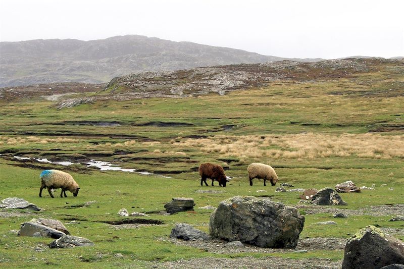 Connemara et Iles Atlantiques (A/R en train)