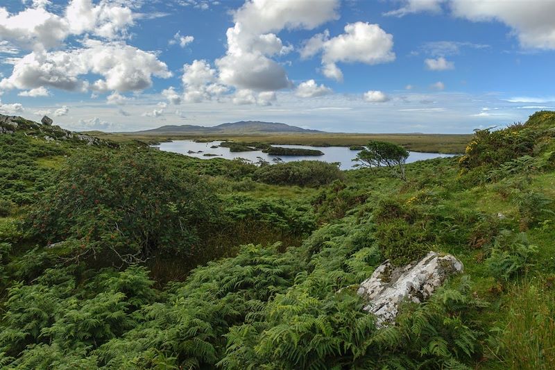 Connemara et Iles Atlantiques (A/R en train)