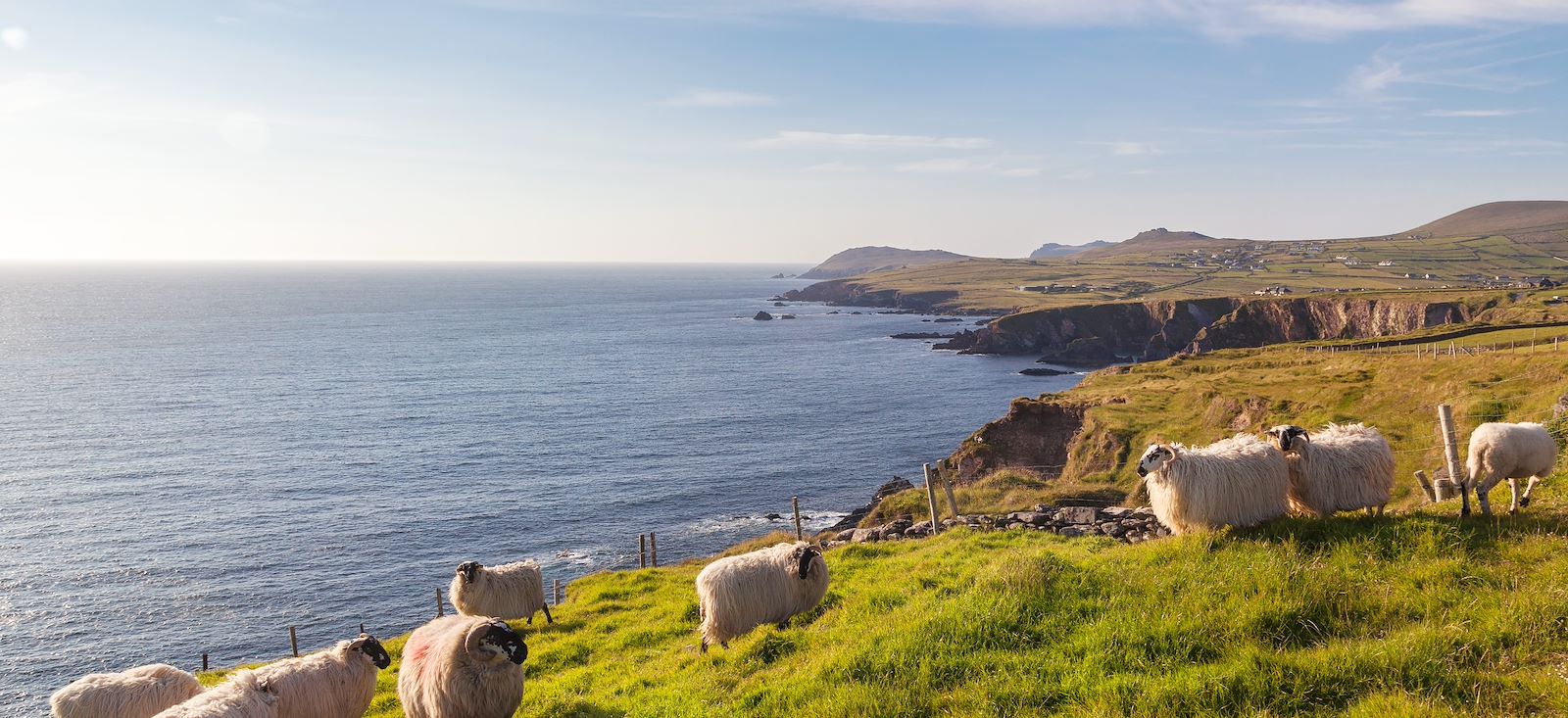 Image L'Eire des sommets