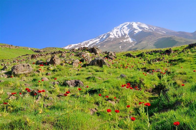 Mont Damavand - Massif de l'Elbourz - Iran