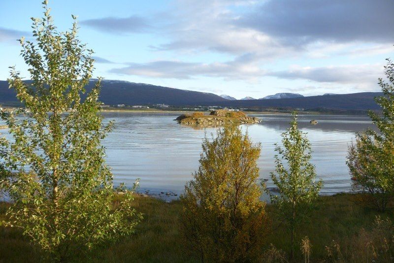 L'Islande au naturel