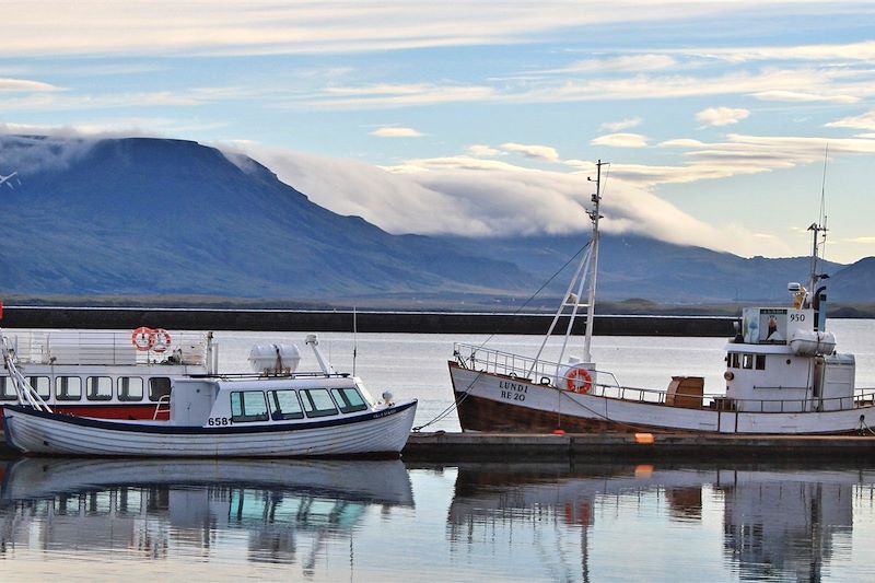 Reykjavik - Région de Hofudhborgarsvaedhi - Islande