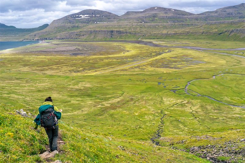 Randonnée dans la réserve naturelle de Hornstrandir - Islande