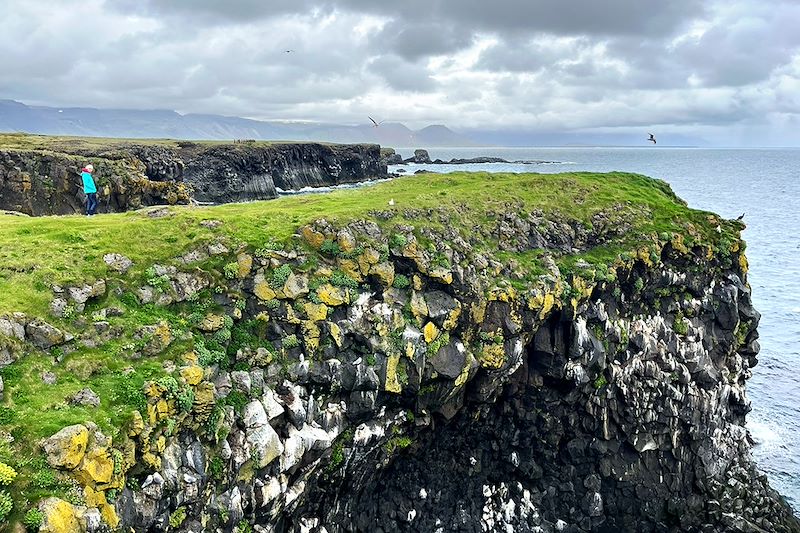 Hellnar - Vesturland - Islande