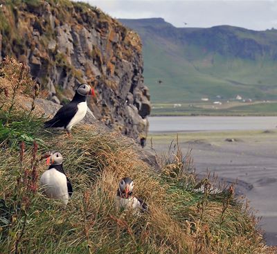 Voyages sur mesure Islande